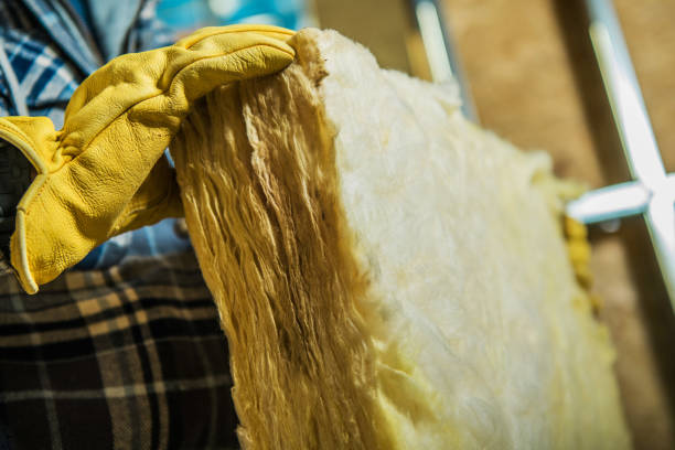 Best Insulation Removal  in La Huerta, NM